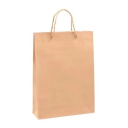 BOLSA DE PAPEL CON ASAS (PARA REGALO) 33 X 24 X 8 CM - 4645